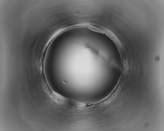 X0000097840908200803141205
