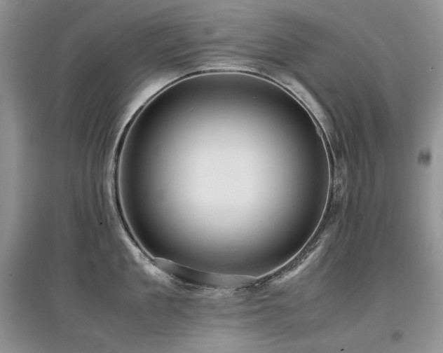 X0000097840909200803141205