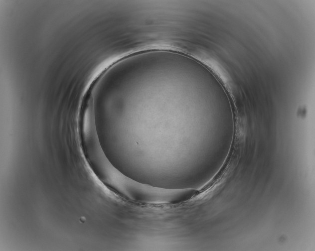 X0000097840910200803141205