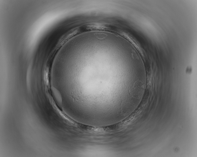 X0000097840911200803141205