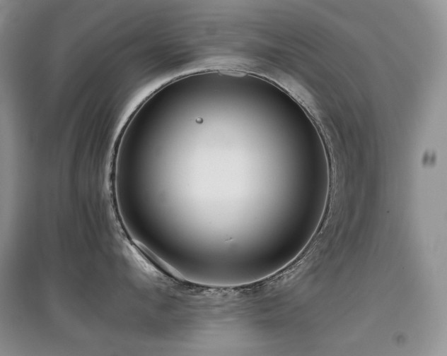X0000097840912200803141205