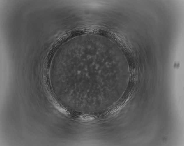 X0000097840913200803141204