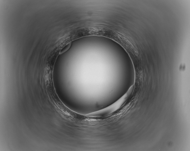 X0000097840914200803141204