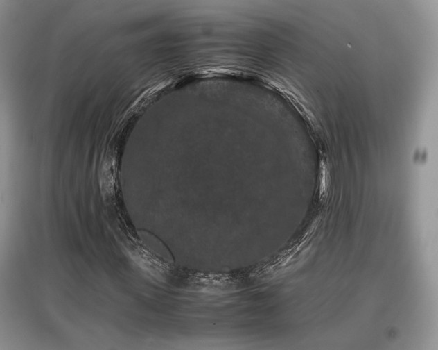 X0000097840915200803141204