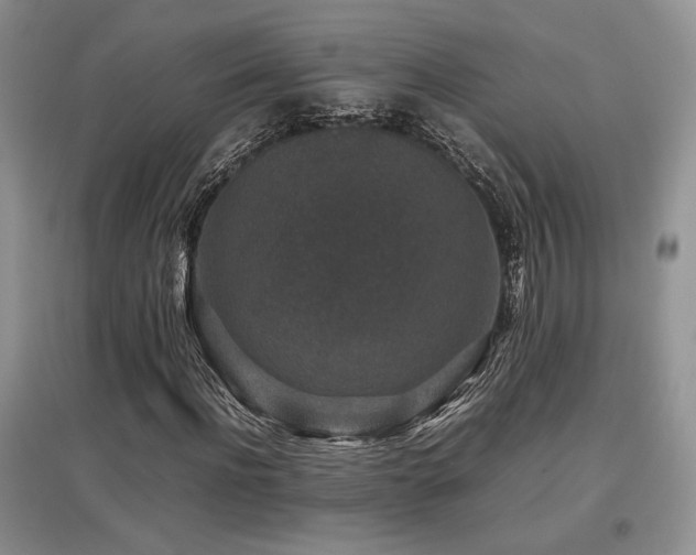 X0000097840916200803141204
