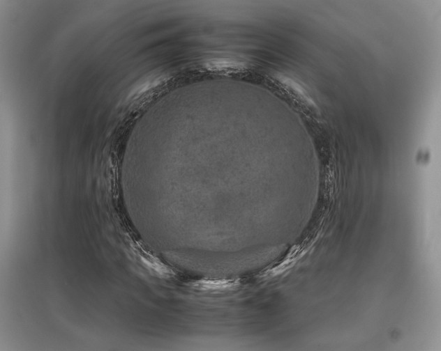 X0000097840917200803141204