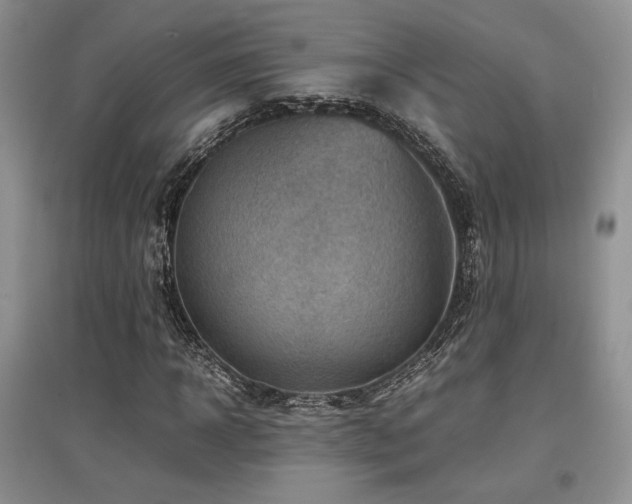 X0000097840918200803141204