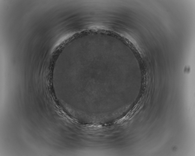 X0000097840919200803141204