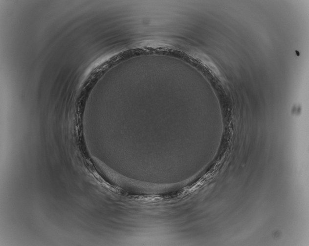X0000097840920200803141204