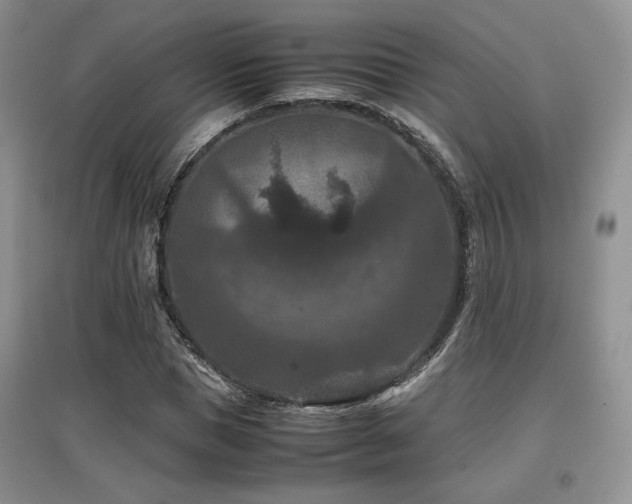 X0000097840921200803141204