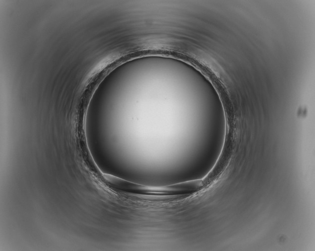 X0000097840922200803141204