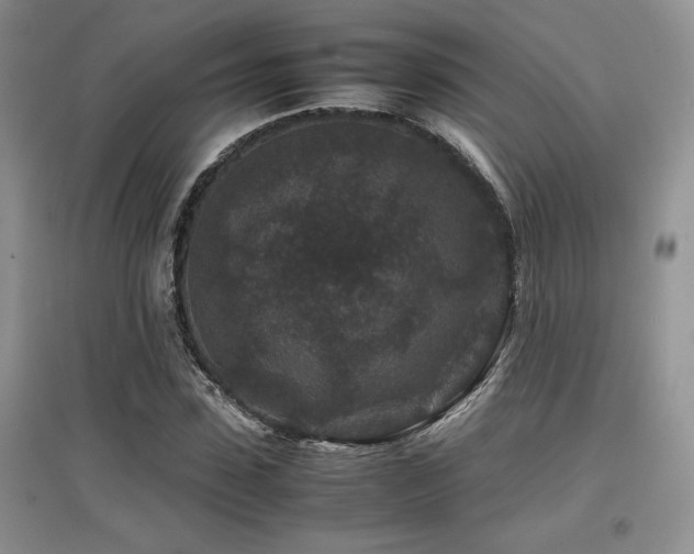 X0000097840923200803141204