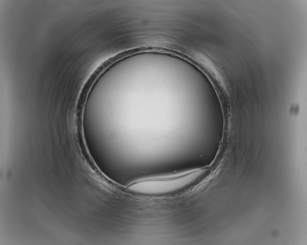 X0000097840924200803141204
