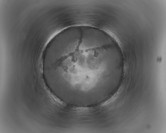 X0000097840925200803141204
