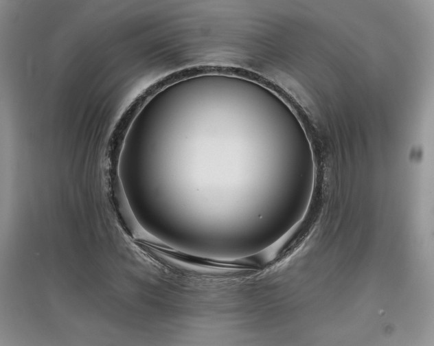 X0000097840926200803141204