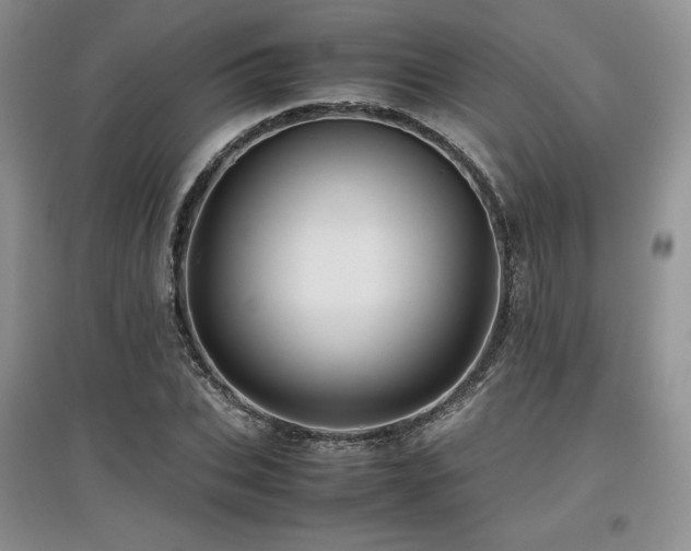 X0000097840927200803141204