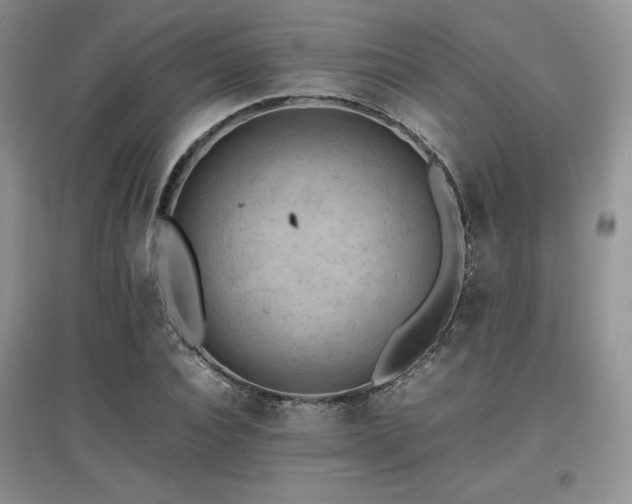 X0000097840928200803141204