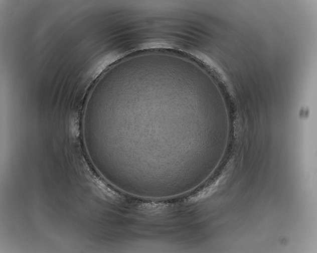 X0000097840929200803141204
