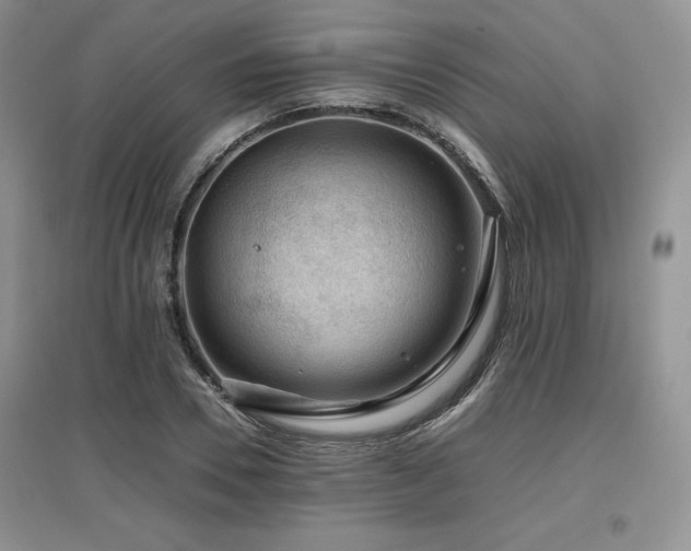 X0000097840930200803141204