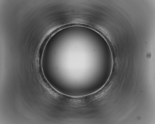 X0000097840931200803141204