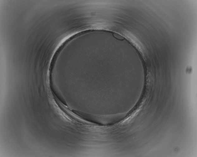 X0000097840932200803141205