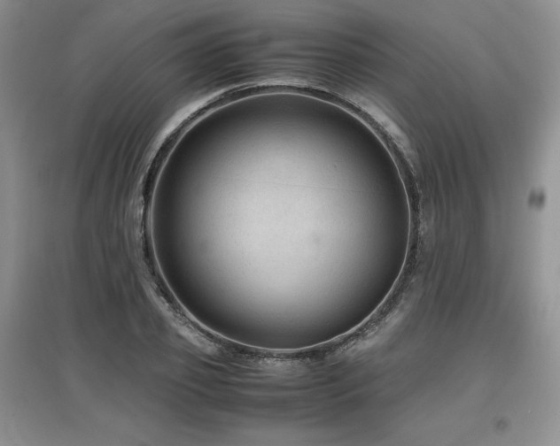 X0000097840933200803141205