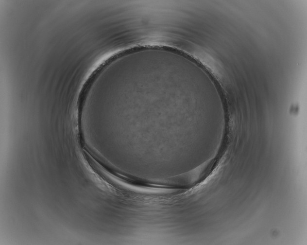 X0000097840934200803141205