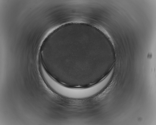 X0000097840935200803141205