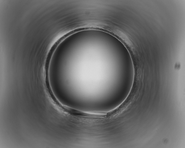 X0000097840936200803141205