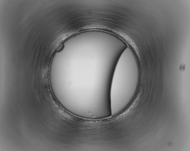 X0000097840937200803141205
