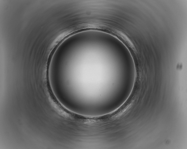 X0000097840938200803141205
