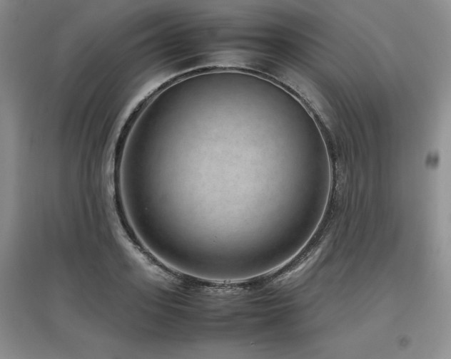 X0000097840939200803141205