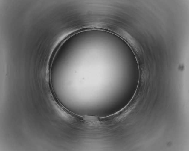 X0000097840940200803141205