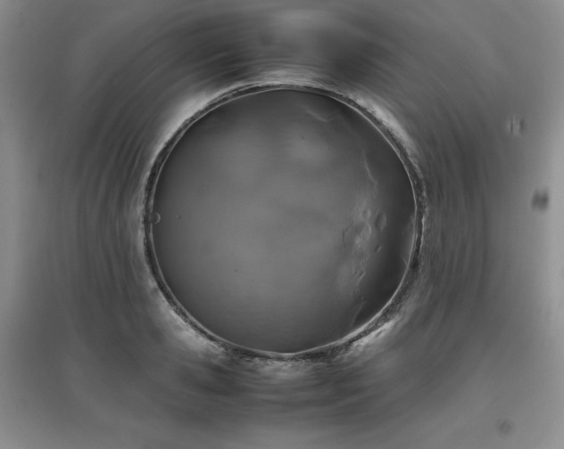 X0000097840941200803141205