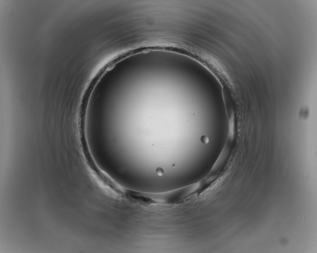 X0000097840942200803141205