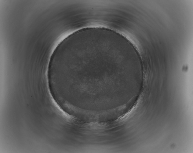 X0000097840943200803141205