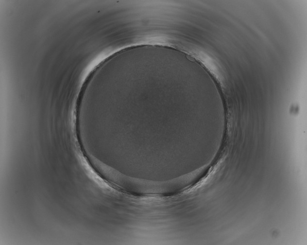 X0000097840944200803141205
