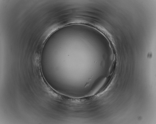 X0000097840945200803141205