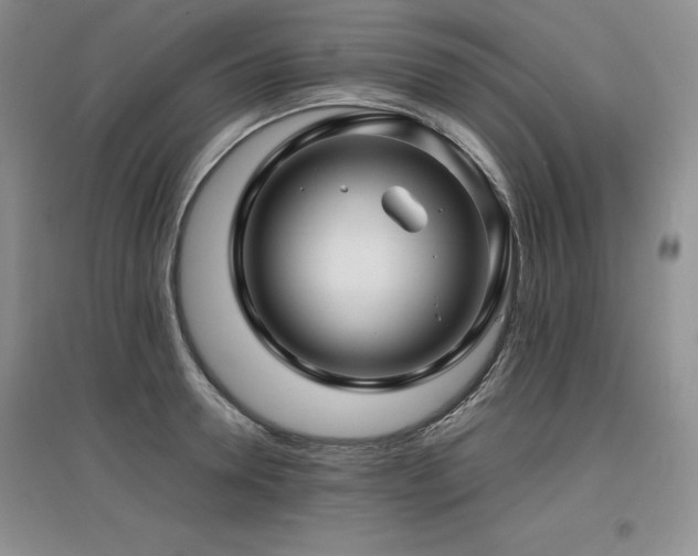 X0000097840946200803141205