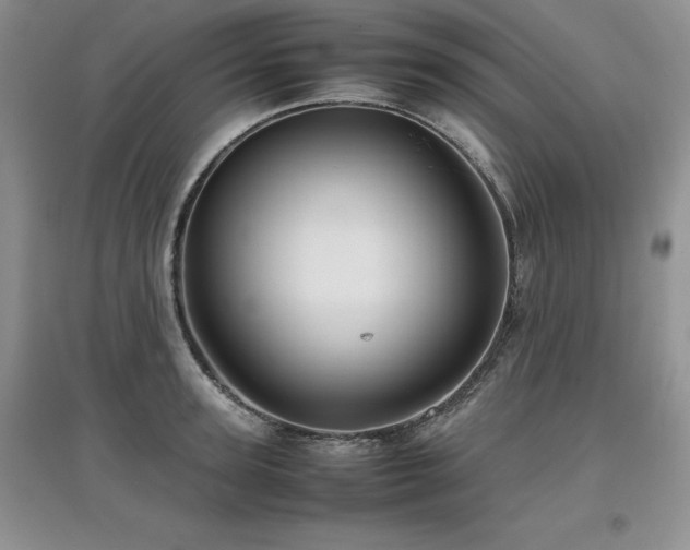 X0000097840947200803141205
