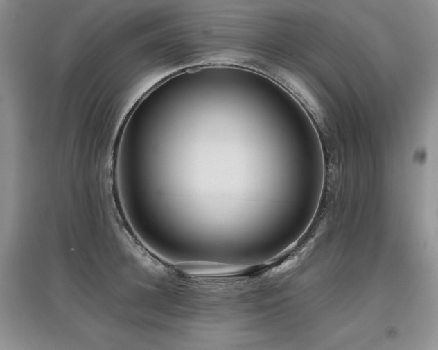 X0000097840948200803141205