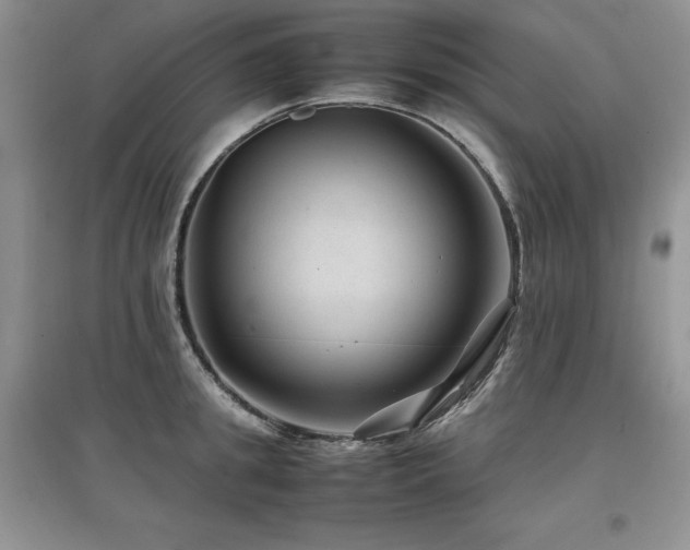 X0000097840949200803141205