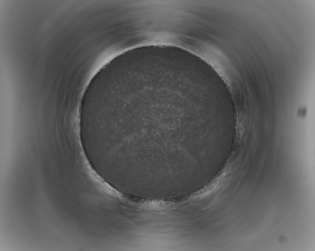 X0000097840950200803141205