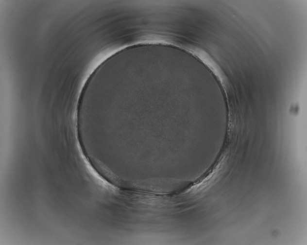 X0000097840951200803141205