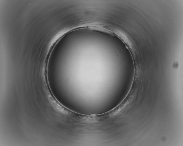 X0000097840952200803141205