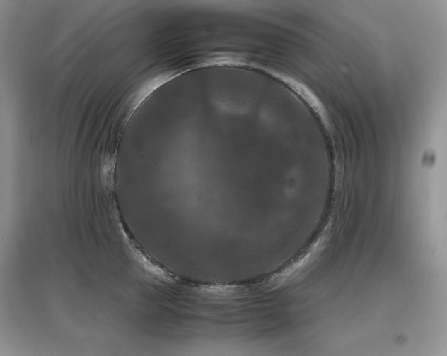 X0000097840953200803141205