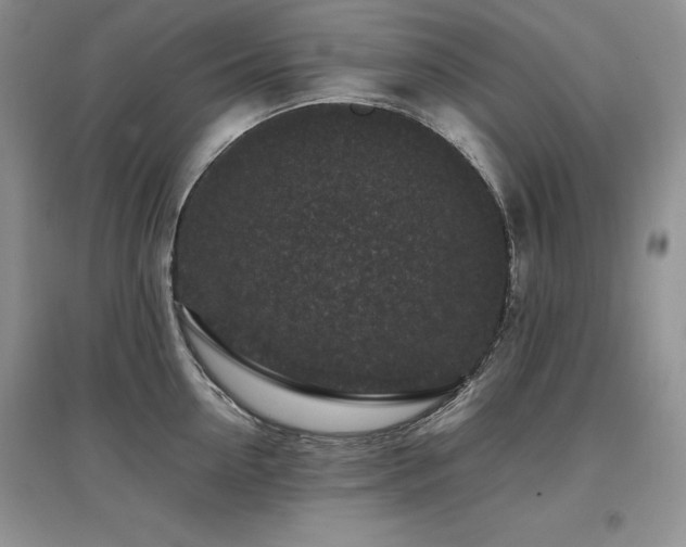 X0000097840954200803141205