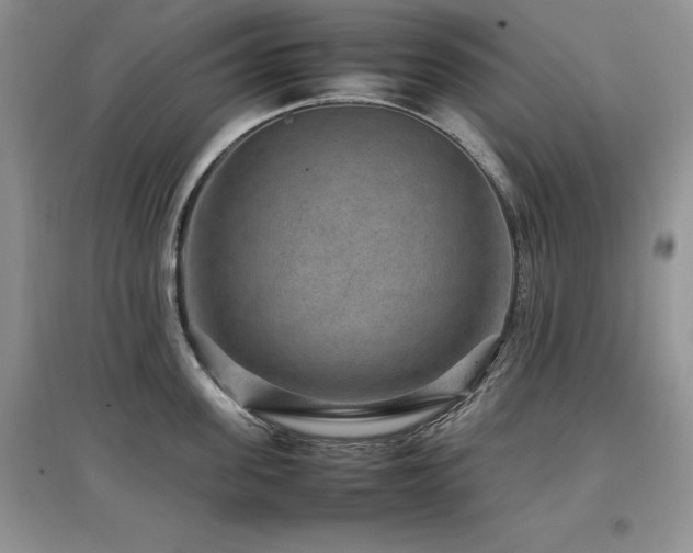 X0000097840955200803141205