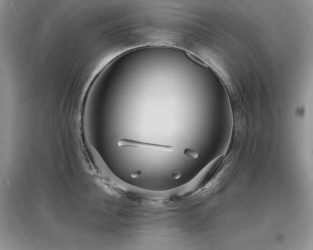 X0000097840956200803141205