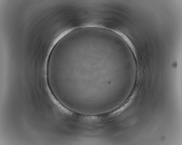 X0000097840957200803141205
